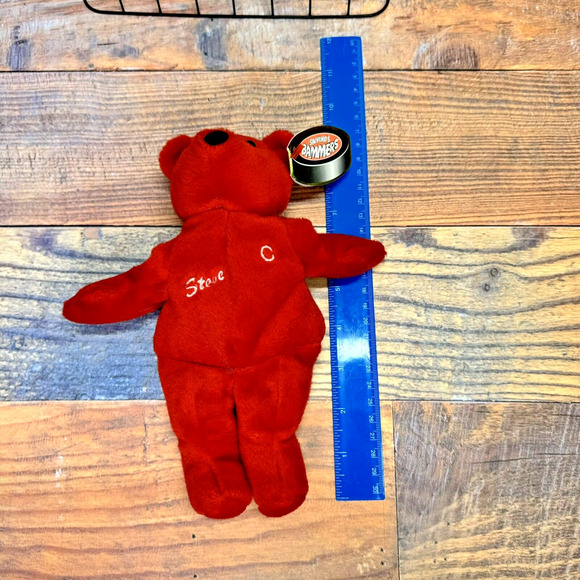 Steve Yzerman Salvinos Bammers 9" Bean Bag Plush‎ Bear NHL Detroit Red Wings #19 - Picture 4 of 9